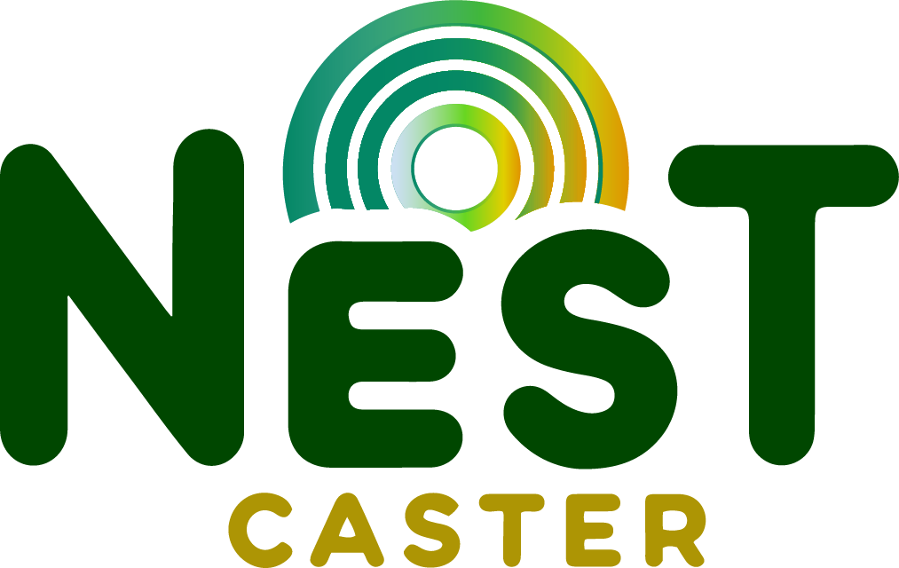 nestcaster.com